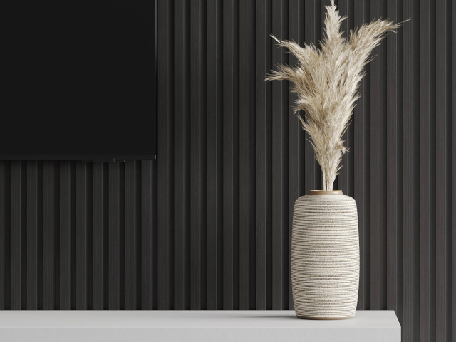 Lames noires dans la chambre