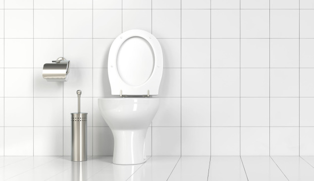 Quelques mots sur les chasses d'eau