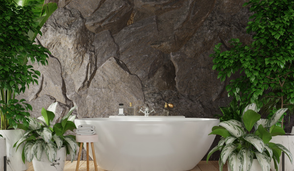 Fräistäend Wanne an engem stilvollen Buedzëmmer