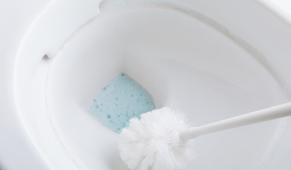 Comment entretenir une brosse WC ?