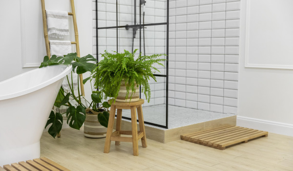 5 meilleurs fleurs à cultiver dans la salle de bain