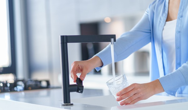 Wat fir e Fësch ass ze wielen fir Drénkwaasser ënner dem Spull? Wéi funktionéiert et?