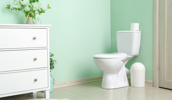 Cuvette de WC avec revêtement protecteur ou non ?