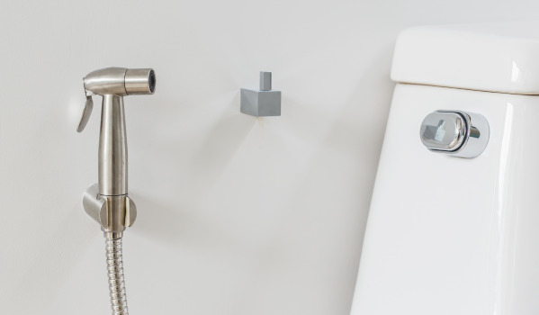 Wéi eng Bidet-Dusch eraussichen?